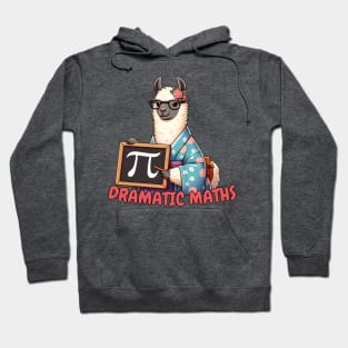 Pi day llama Hoodie